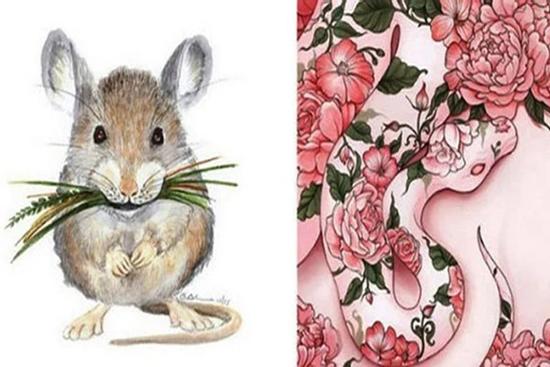 Quý Mão 2023: 3 tuổi Thái Bạch quét sạch cửa nhà, lao đao nghèo khó