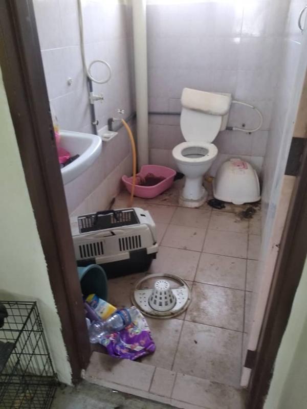 Bị khách thuê ngăn đến thăm nhà, chủ trọ sốc khi phát hiện sự thật-3