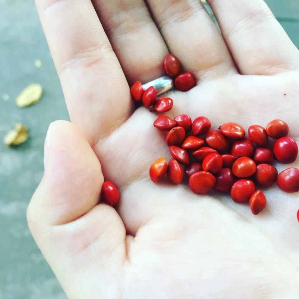 Cú lừa ngày Thất tịch: Ăn chè đậu đỏ không giúp thoát ế như lời đồn-2