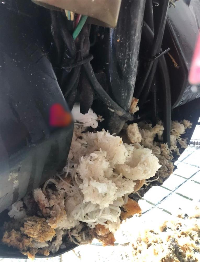 Khách nữ mang xe máy ra rửa, thợ hốt hoảng như xem phim kinh dị-3