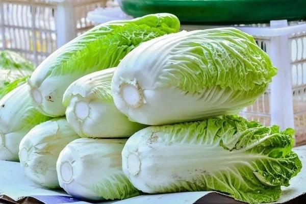 3 loại cải thảo tuyệt đối không mua vì có thể hạ độc cả gia đình-1