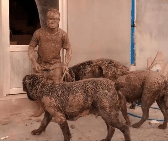 Người đàn ông dắt chó đi dạo, khi quay về vợ không nhận ra-2