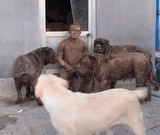 Người đàn ông dắt chó đi dạo, khi quay về vợ không nhận ra-3