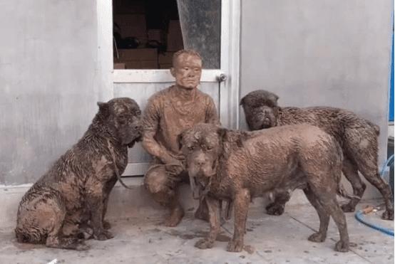 Người đàn ông dắt chó đi dạo, khi quay về vợ không nhận ra-4