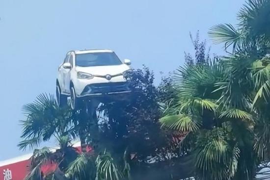 Kỳ lạ cảnh ô tô 'bay' lên ngọn cây treo lơ lửng và nguyên nhân phía sau