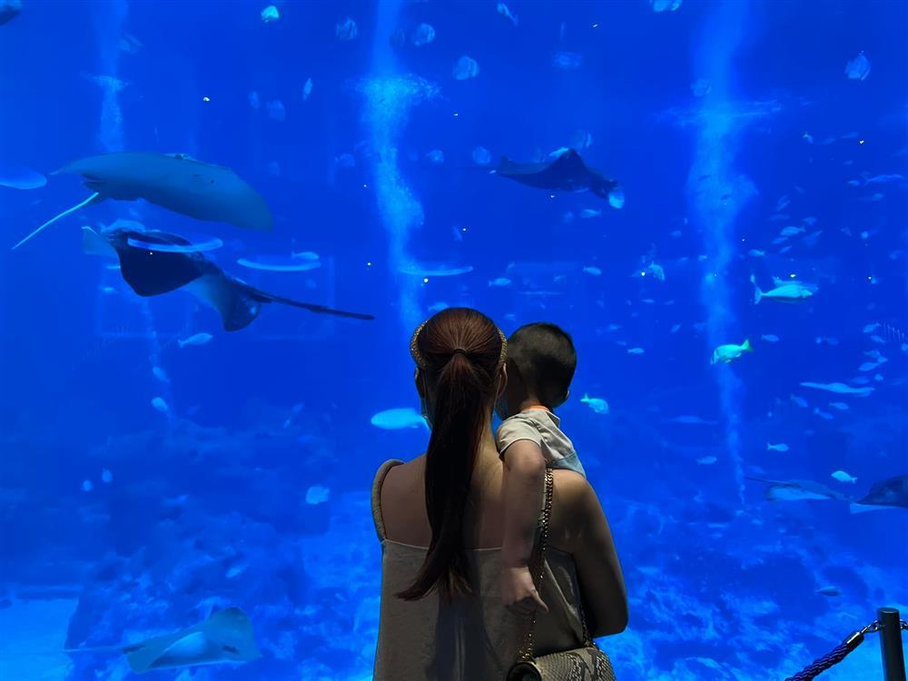 Chồng Lan Khuê xả ảnh quý tử, vợ giấu bao năm bằng thừa-6