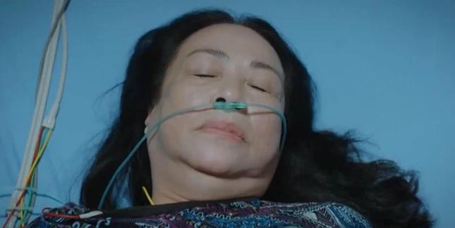 Những chi tiết khó hiểu, gây tranh cãi tập cuối Thương Ngày Nắng Về-1