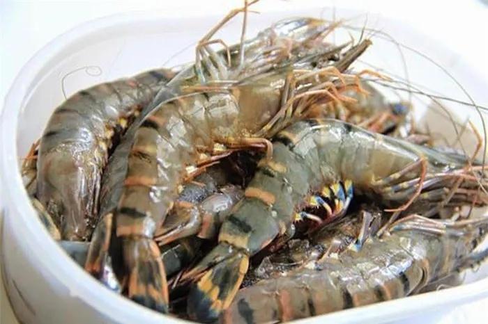 Mang tôm về chỉ cần thêm 1 bước đảm bảo để cả tháng vẫn tươi-4