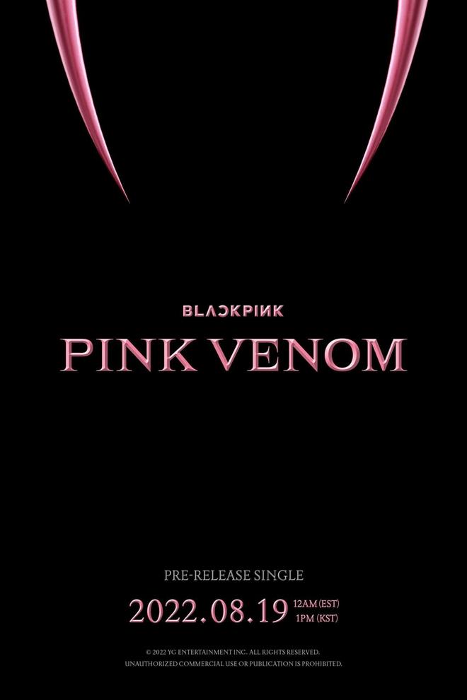 Đúng ngày kỉ niệm 6 năm ra mắt, BLACKPINK thông báo tên bài hát mới-1