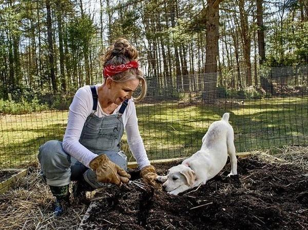 Diễn viên Ngôi Nhà Nhỏ Trên Thảo Nguyên bỏ phố về quê-3