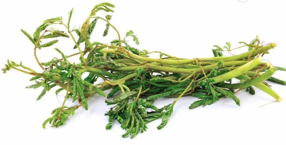 Thói quen ăn rau tưởng tốt hoá ra lại gây hại, tổn thương gan-1