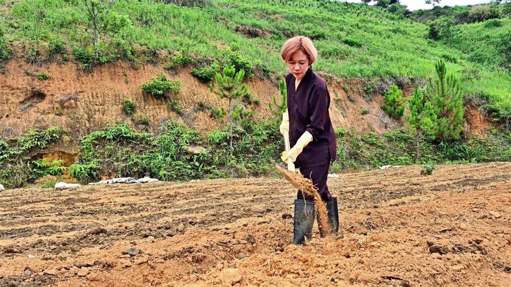 Cô gái thèm mùi bình yên, bỏ việc trăm triệu rủ bạn trai về rừng sống-1