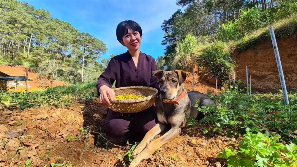 Cô gái thèm mùi bình yên, bỏ việc trăm triệu rủ bạn trai về rừng sống-2
