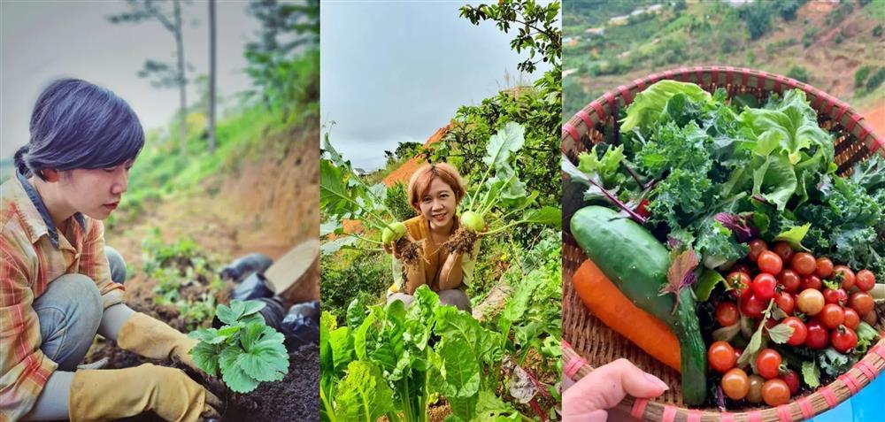 Cô gái thèm mùi bình yên, bỏ việc trăm triệu rủ bạn trai về rừng sống-3