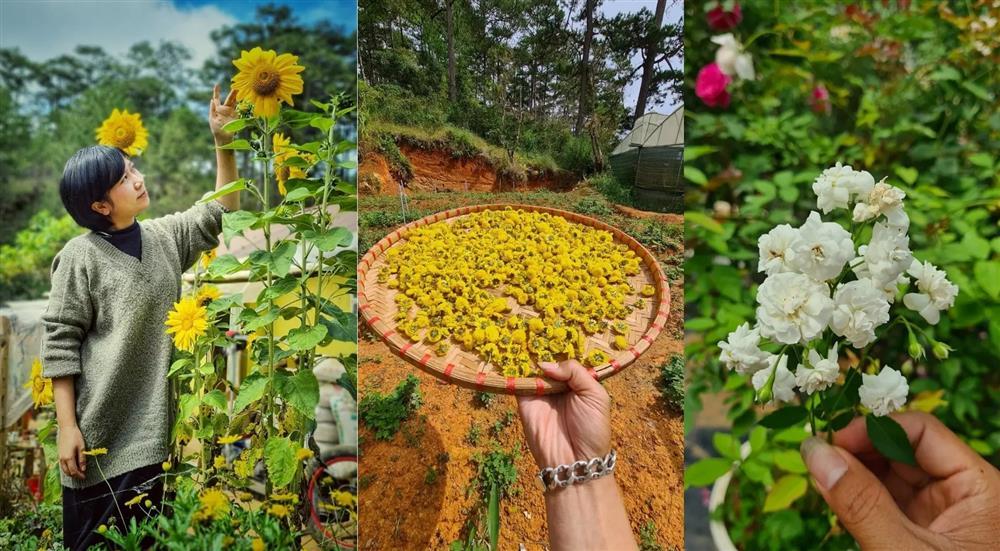 Cô gái thèm mùi bình yên, bỏ việc trăm triệu rủ bạn trai về rừng sống-5