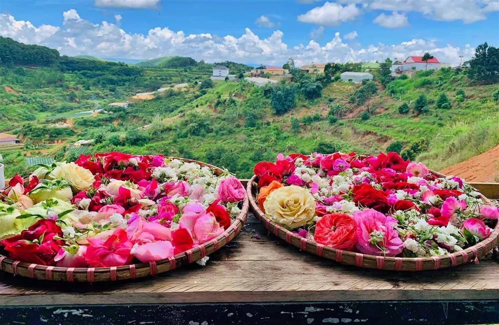 Cô gái thèm mùi bình yên, bỏ việc trăm triệu rủ bạn trai về rừng sống-6