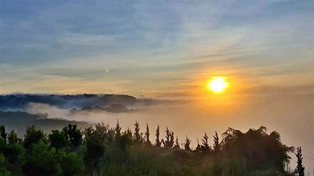 Cô gái thèm mùi bình yên, bỏ việc trăm triệu rủ bạn trai về rừng sống-7