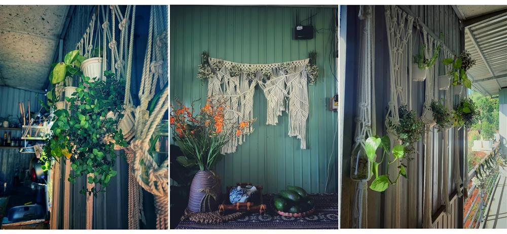 Cô gái thèm mùi bình yên, bỏ việc trăm triệu rủ bạn trai về rừng sống-8