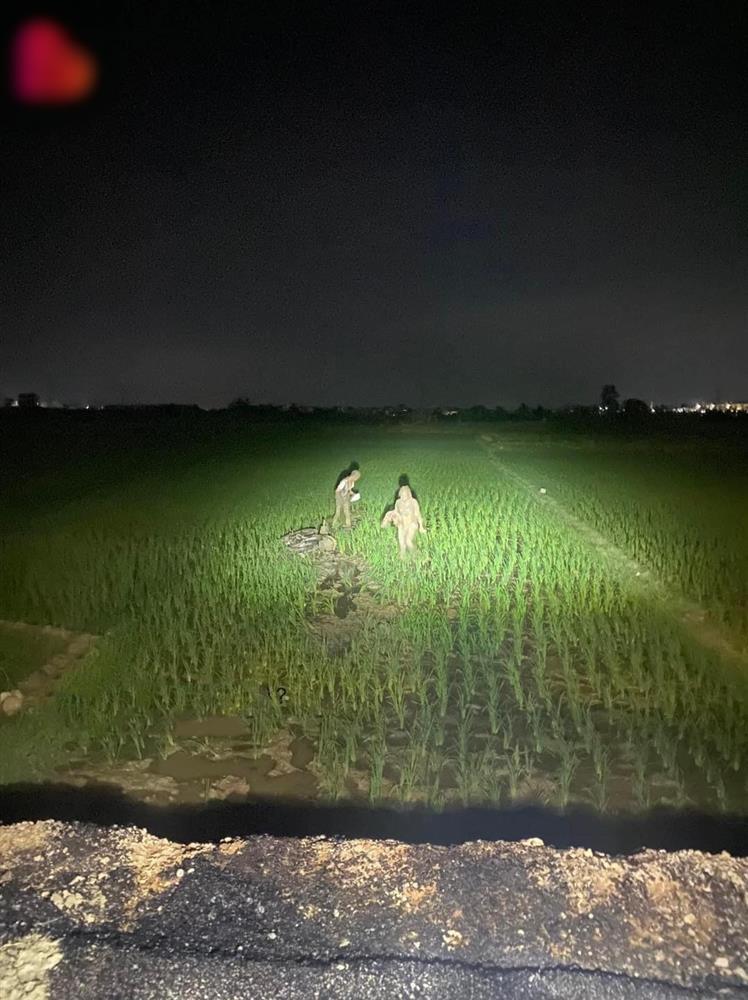 Phi chiến mã xuống ruộng, cặp tình nhân khiến dân mạng cười vỡ bụng-1