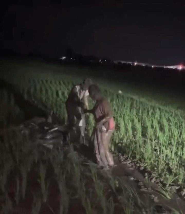 Phi chiến mã xuống ruộng, cặp tình nhân khiến dân mạng cười vỡ bụng-4