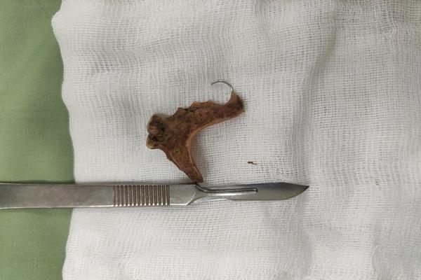 Phạt nhà hàng Mr Bao hơn 26 triệu đồng sau vụ ngộ độc rượu-2