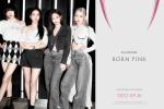 Sóng gió bủa vây BLACKPINK, toàn do YG mà ra?-8