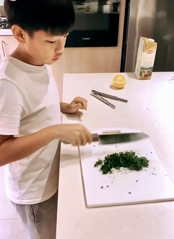 Hồ Ngọc Hà hành cặp song sinh, dân mạng vỗ tay khen ngợi-8