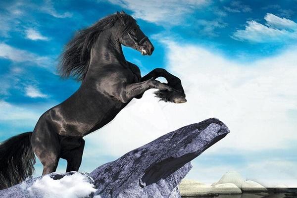 3 tuổi rũ bùn đứng dậy cuối năm 2022 đón Tết linh đình, 2023 sở hữu tiền tỷ-3