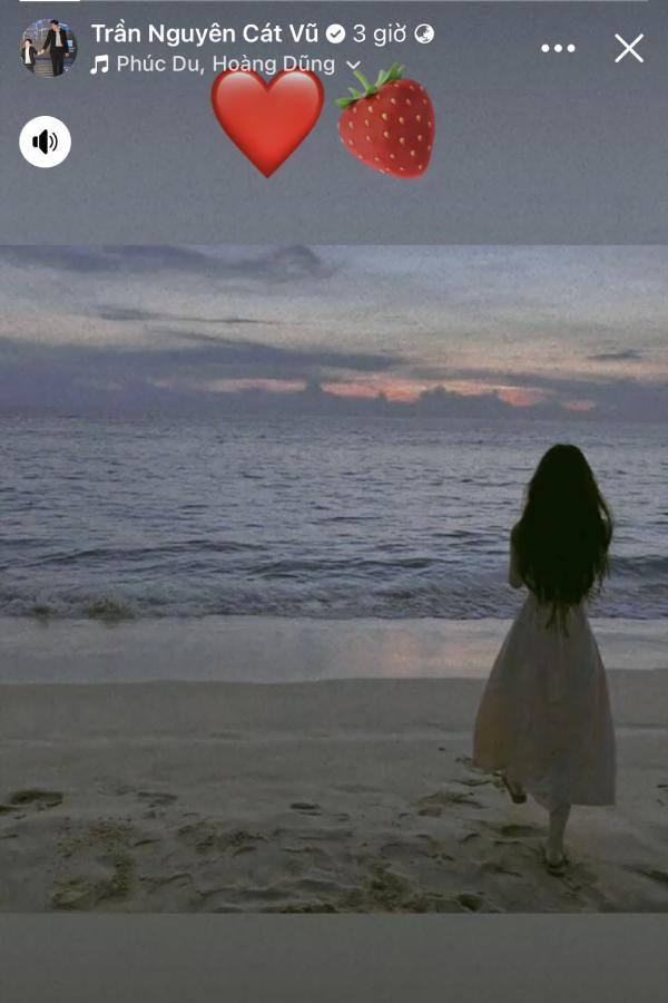 Tim đã có tình mới hậu ly hôn Trương Quỳnh Anh?-4