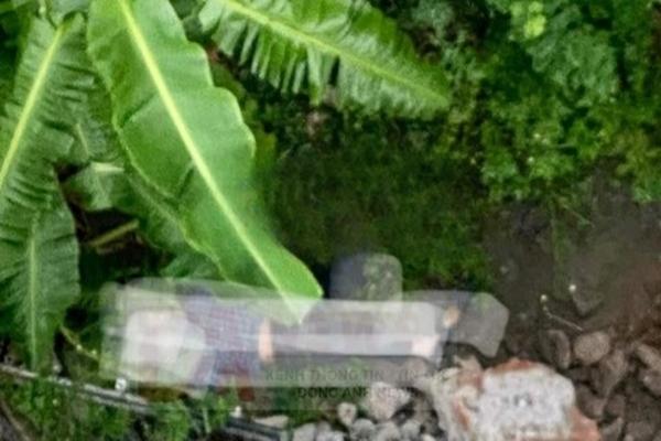 Xác minh người đàn ông bỏ lại xe Audi trên cầu Nhật Tân rồi tự tử-1