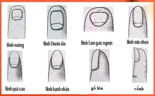 Nhìn ngón tay luận quẻ tử vi: Trọn đời an nhàn hay đầu tắt mặt tối?-7