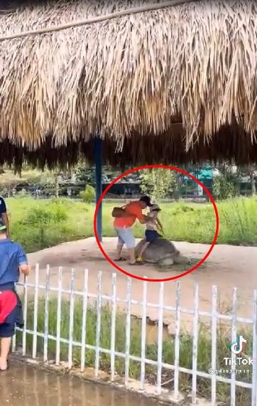 Xấu xí hình ảnh bố mẹ vượt rào, bế con trèo lên lưng rùa sống ảo-2