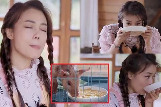 Show truyền hình bị chỉ trích vì ép nghệ sĩ ăn cám heo, giun dế
