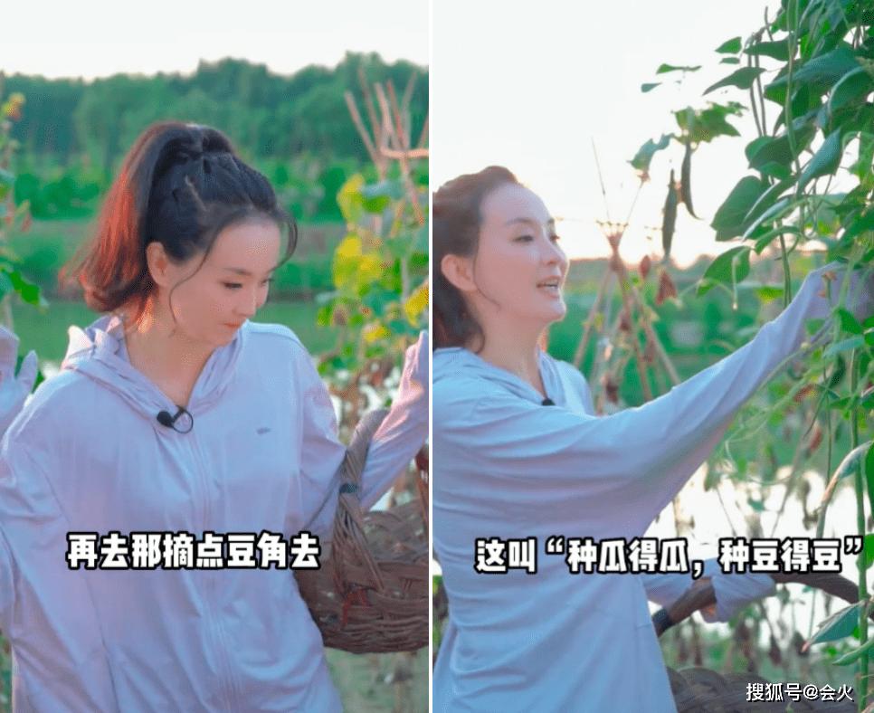 Tình Nhi Vương Diễm làm nông dân nhưng bị nghi diễn-3