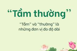 Câu đố Tiếng Việt: Vì sao lại nói là 'tầm thường'?