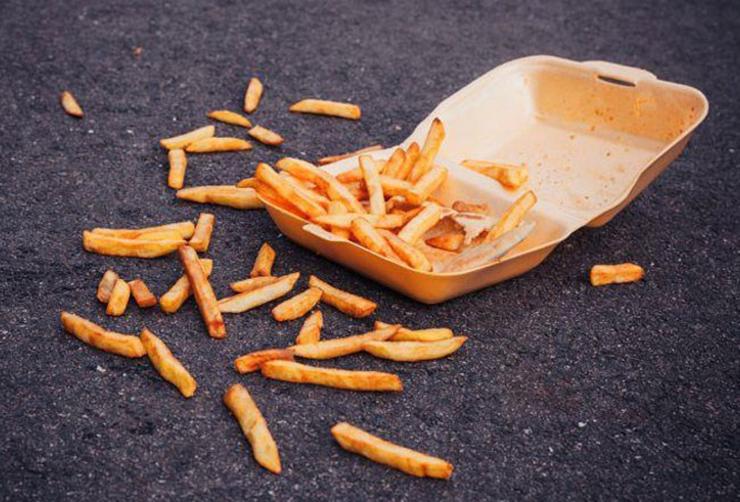 Có thể ăn thức ăn rơi xuống đất không? Điều quan trọng hơn quy tắc 5 giây-2