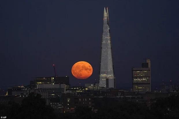 Ngắm siêu trăng cá tầm tỏa sáng rực rỡ khắp thế giới-1