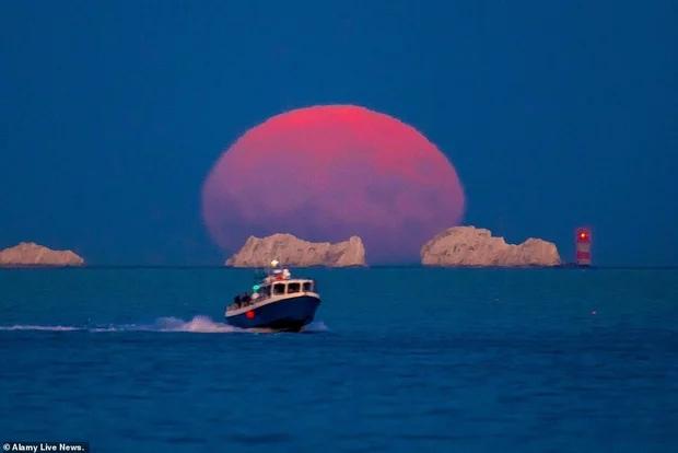 Ngắm siêu trăng cá tầm tỏa sáng rực rỡ khắp thế giới-3