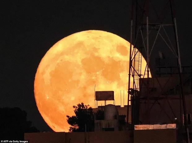 Ngắm siêu trăng cá tầm tỏa sáng rực rỡ khắp thế giới-4