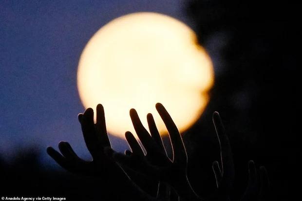 Ngắm siêu trăng cá tầm tỏa sáng rực rỡ khắp thế giới-8