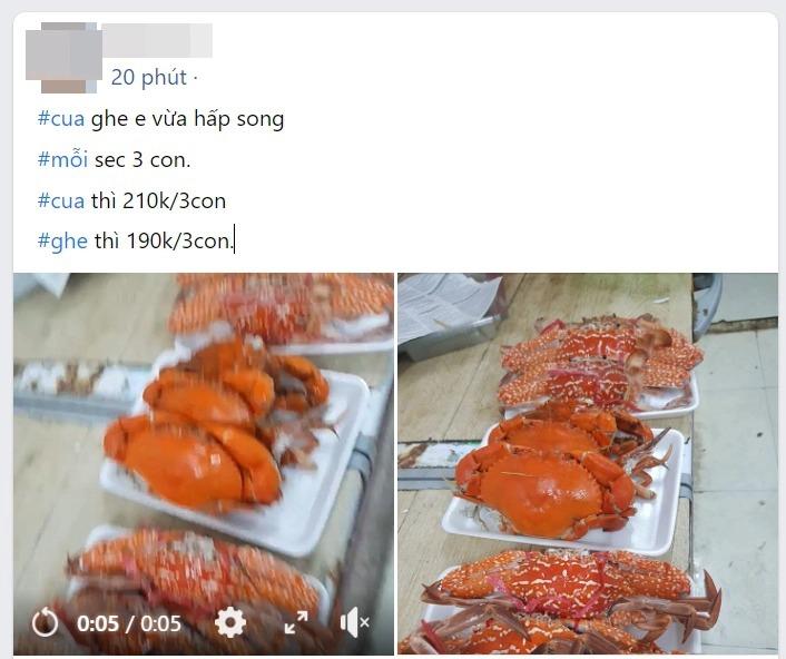 Mặc kệ bão giá, hãy giúp gia đình đổi gió nếu giá hải sản hợp lý, tươi ngon-2