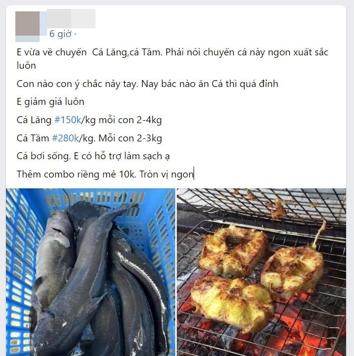 Mặc kệ bão giá, hãy giúp gia đình đổi gió nếu giá hải sản hợp lý, tươi ngon-5