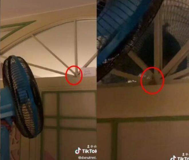 Con gái ở một mình, bố mang vật trừ tà đến mà ai nấy ngã ngửa-4