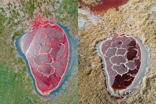 Vẻ ấn tượng của hồ nước hình trăng khuyết lọt giữa sa mạc cằn cỗi-8