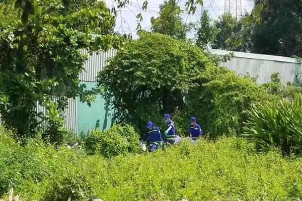 Khung cảnh hãi hùng trong khu đất trống ở quận Bình Tân-1