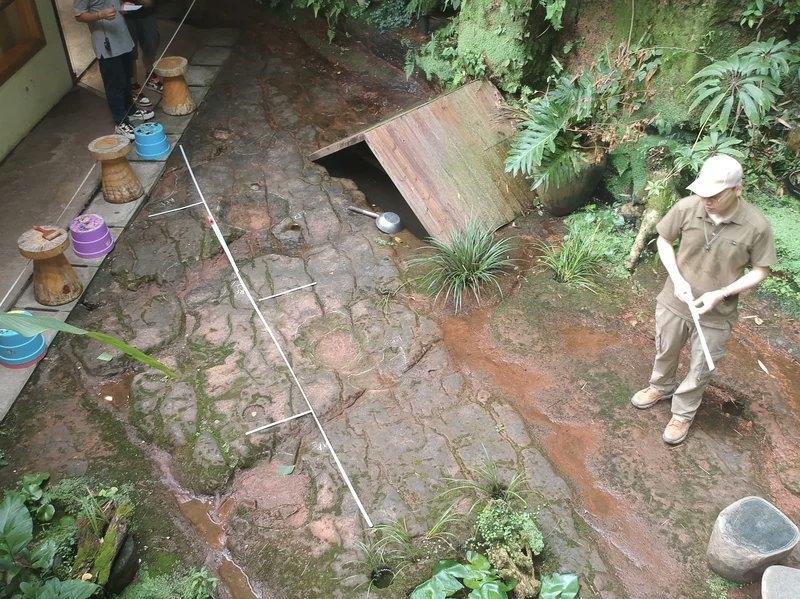 Phát hiện dấu chân khủng long 100 triệu năm tuổi dưới sân nhà hàng-3