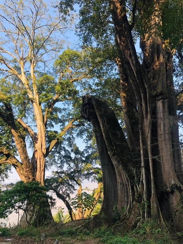 Say đắm vẻ mộc mạc ở ngôi làng cổ trăm tuổi bị lãng quên ở Hà Giang-4