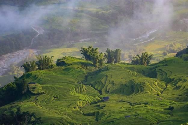 Bên cạnh sắc vàng của lúa, tại đây còn là không gian của những biển mây trải dài đến tận cuối chân trời. Các hoạt động du lịch trải nghiệm như dù lượn, chèo SUP, trekking... cũng vì thế được nhiều người lựa chọn.