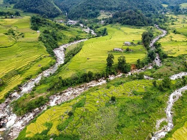 Nửa cuối tháng 8 hàng năm, không gian khắp vùng cao Tây Bắc được nhuộm vàng rực rỡ của ngày lúa chín.