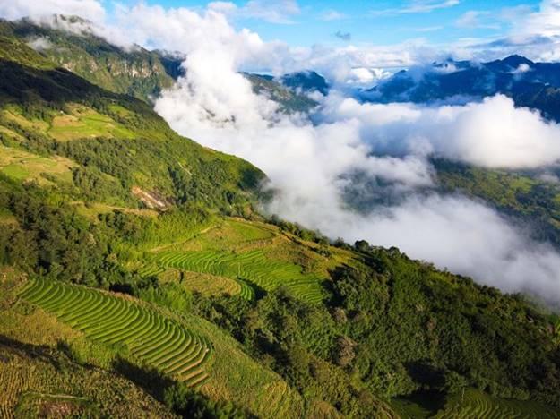 Sau Y Tý chừng 1-2 tuần, ruộng bậc thang tại Mù Căng Chải (Yên Bái), Hoàng Su Phì (Hà Giang)… cũng vào vụ chín rộ.